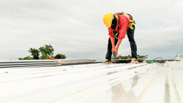 Best Cold Roofs  in Buckhall, VA